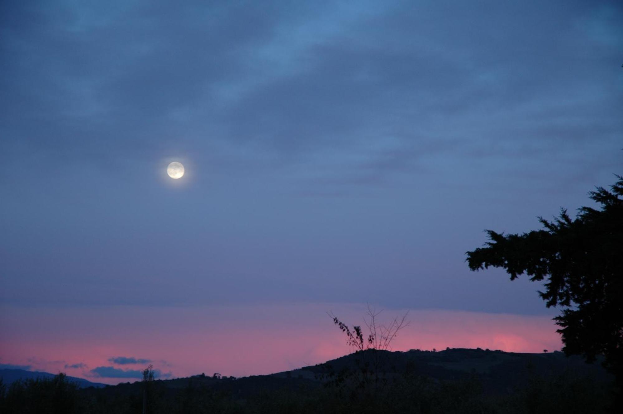 Agriturismo Le Piane Del Milia Suvereto Zewnętrze zdjęcie