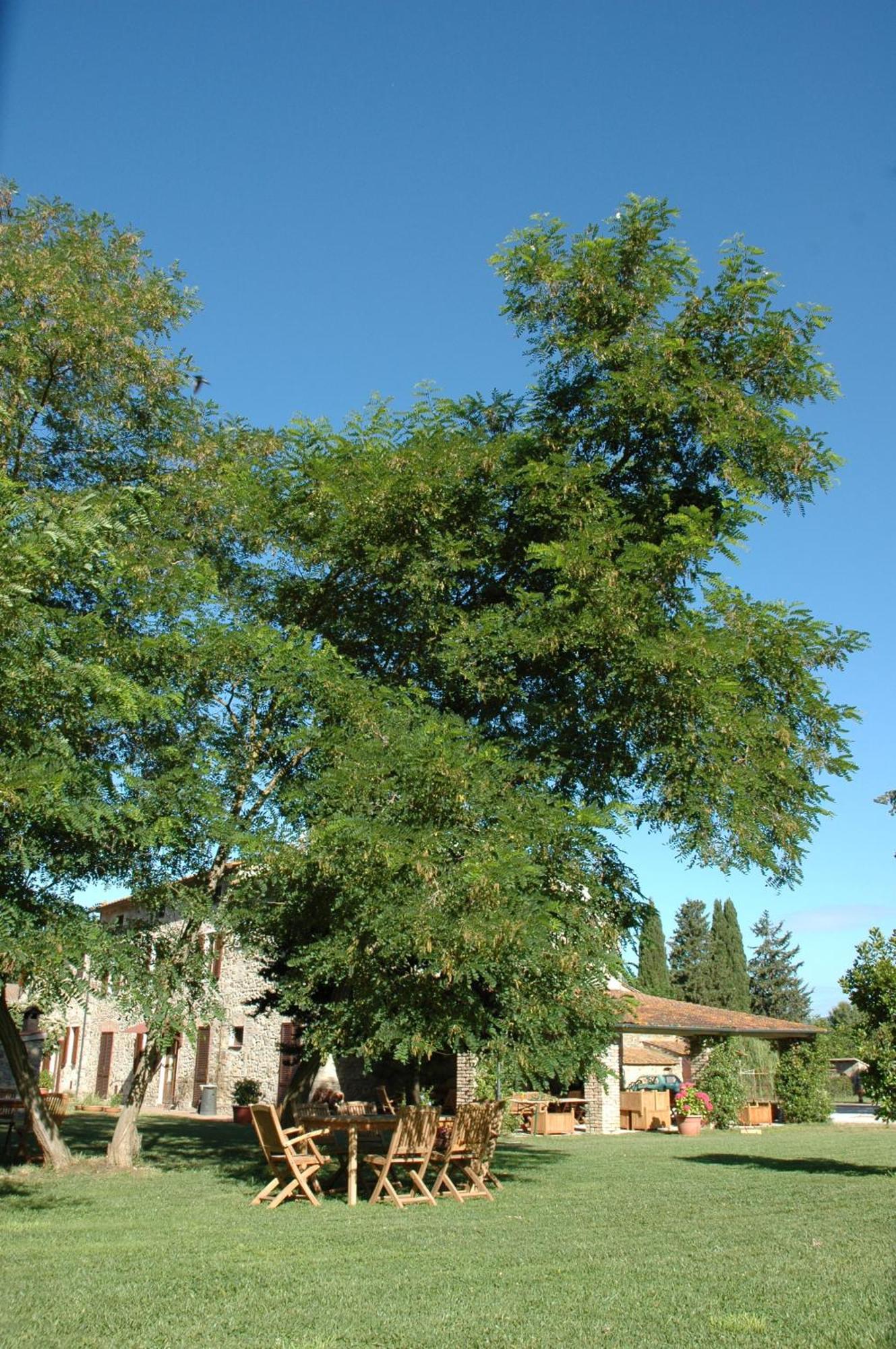 Agriturismo Le Piane Del Milia Suvereto Zewnętrze zdjęcie